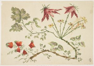 Ornamento, Chinoiserie, Fiori, 30 giugno 1760